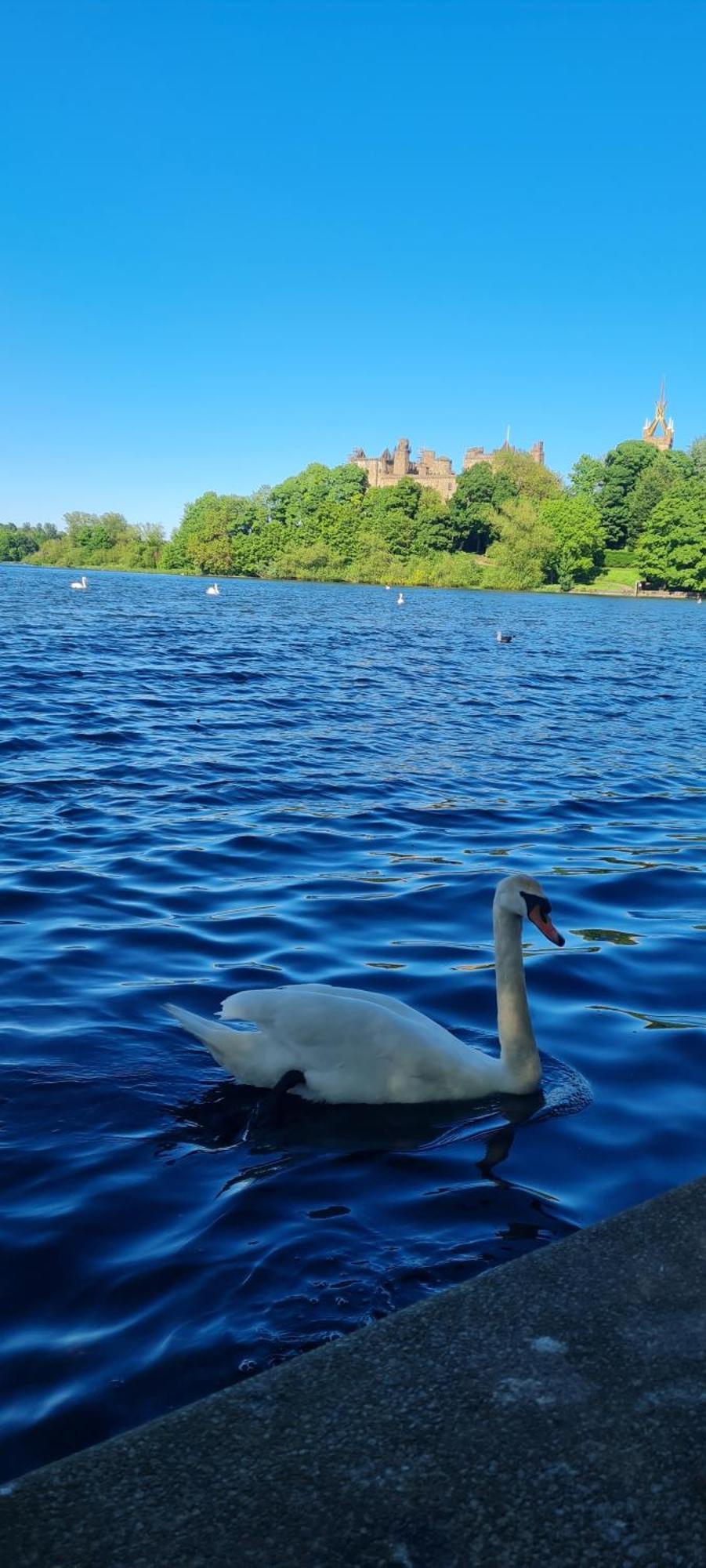 Stylish In With Free Parking Holiday home Linlithgow